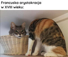 d42cf95a-628a-4cc0-ba1b-f019be48d726