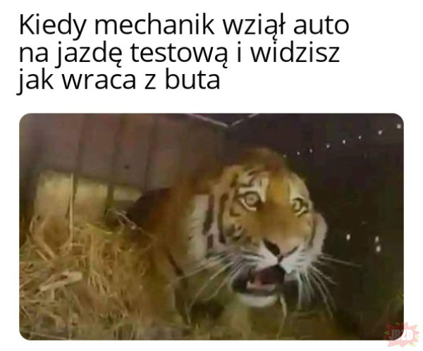 ce875039-9ecd-4ecb-ad8b-9da3c6ab1ce0