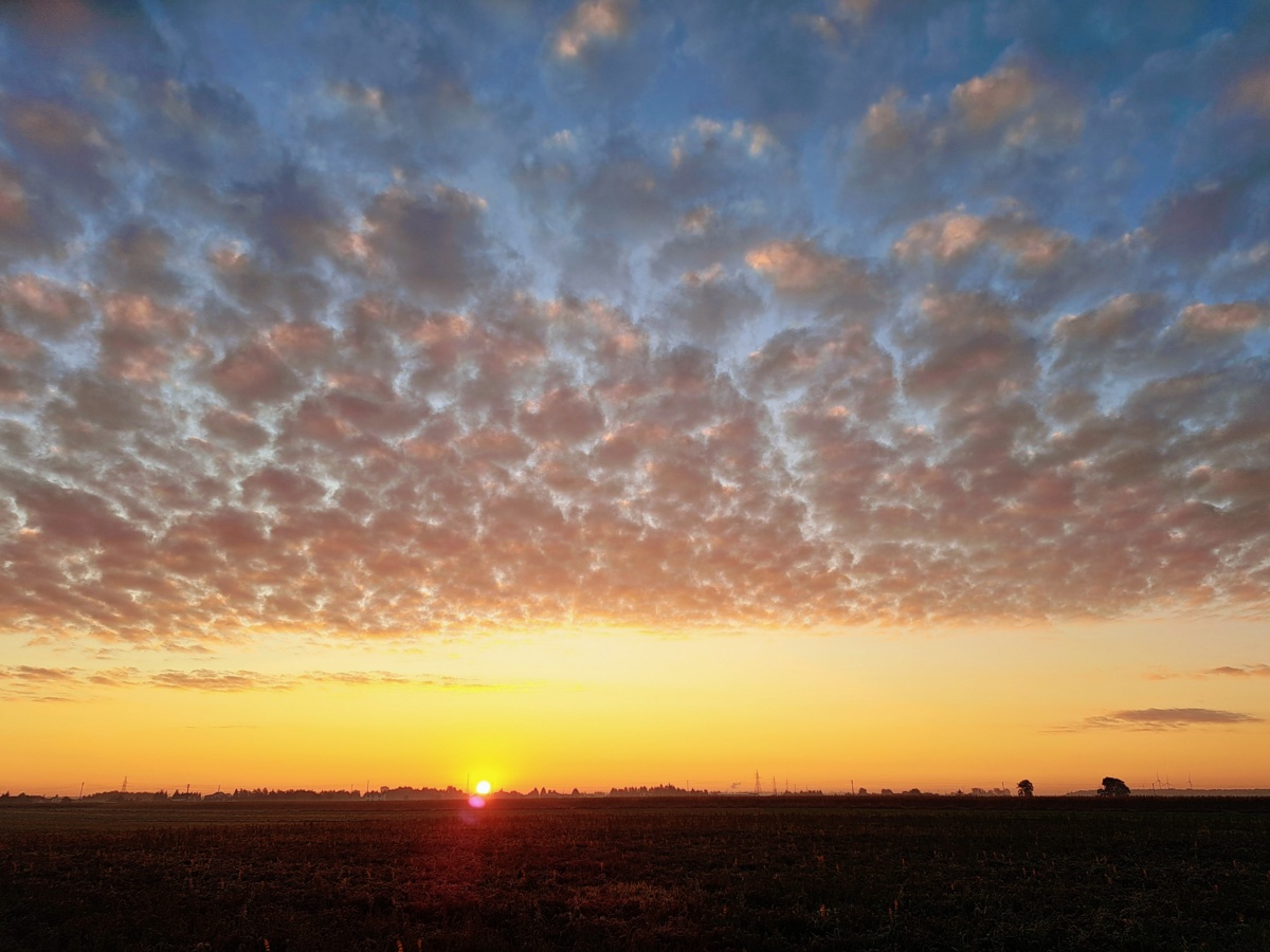 67c03962-7fb3-449e-ae13-1e11a49c794c