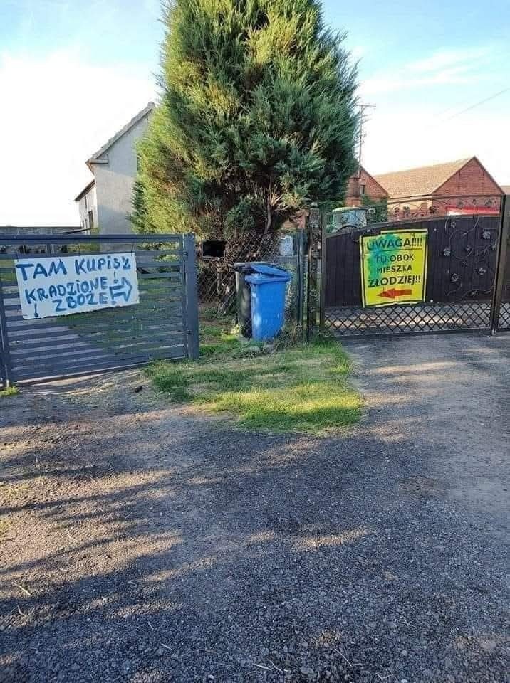 9dd550c7-00a1-4e6d-8314-f56cf249444d