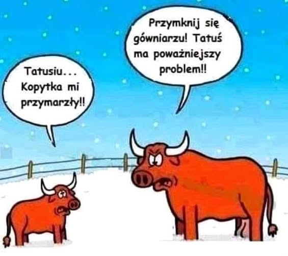 33d33dc9-0368-4626-842d-8d179f569bb7