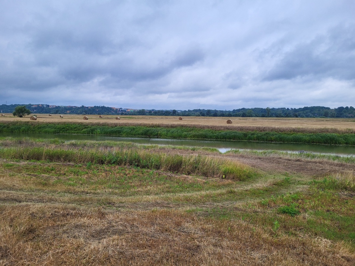 eb100125-a8f7-4a3a-afd1-9386743a78c1