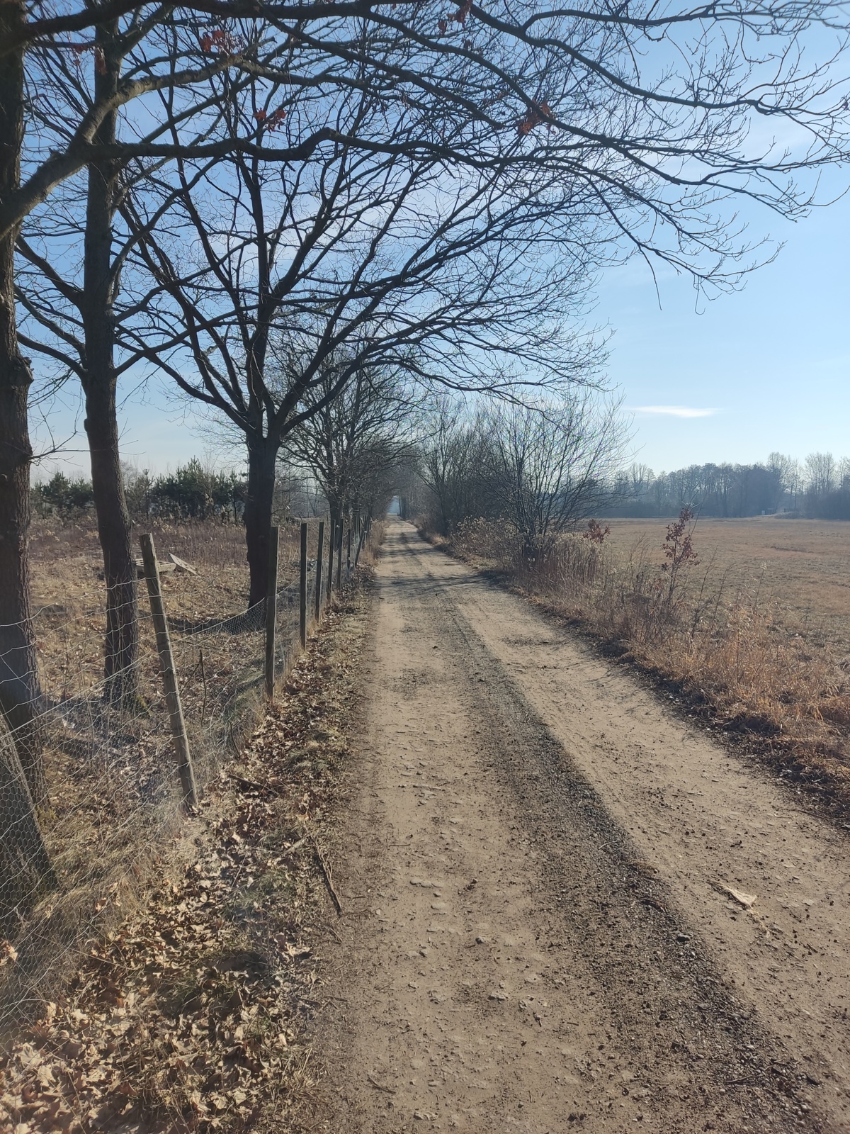 fa1144d8-3421-44e9-918a-c5fb392583ee