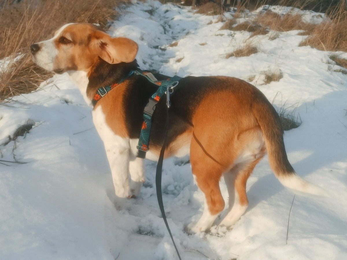 de0406fb-7542-4b93-8175-9e6827cb1df3