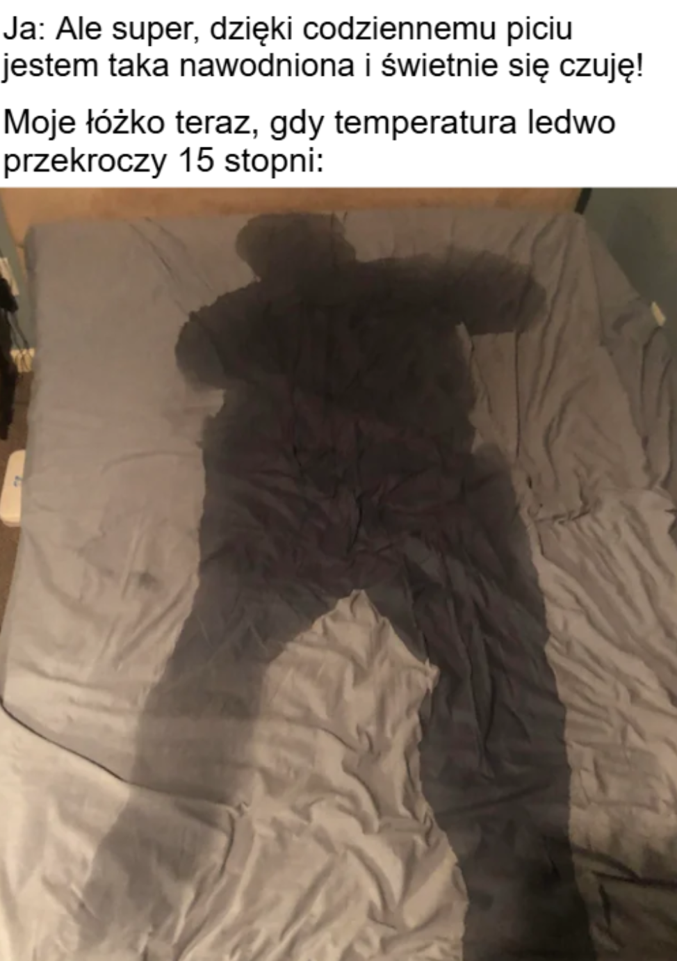 22de86c0-2c7e-44a3-a6a1-798e95cd6b0b