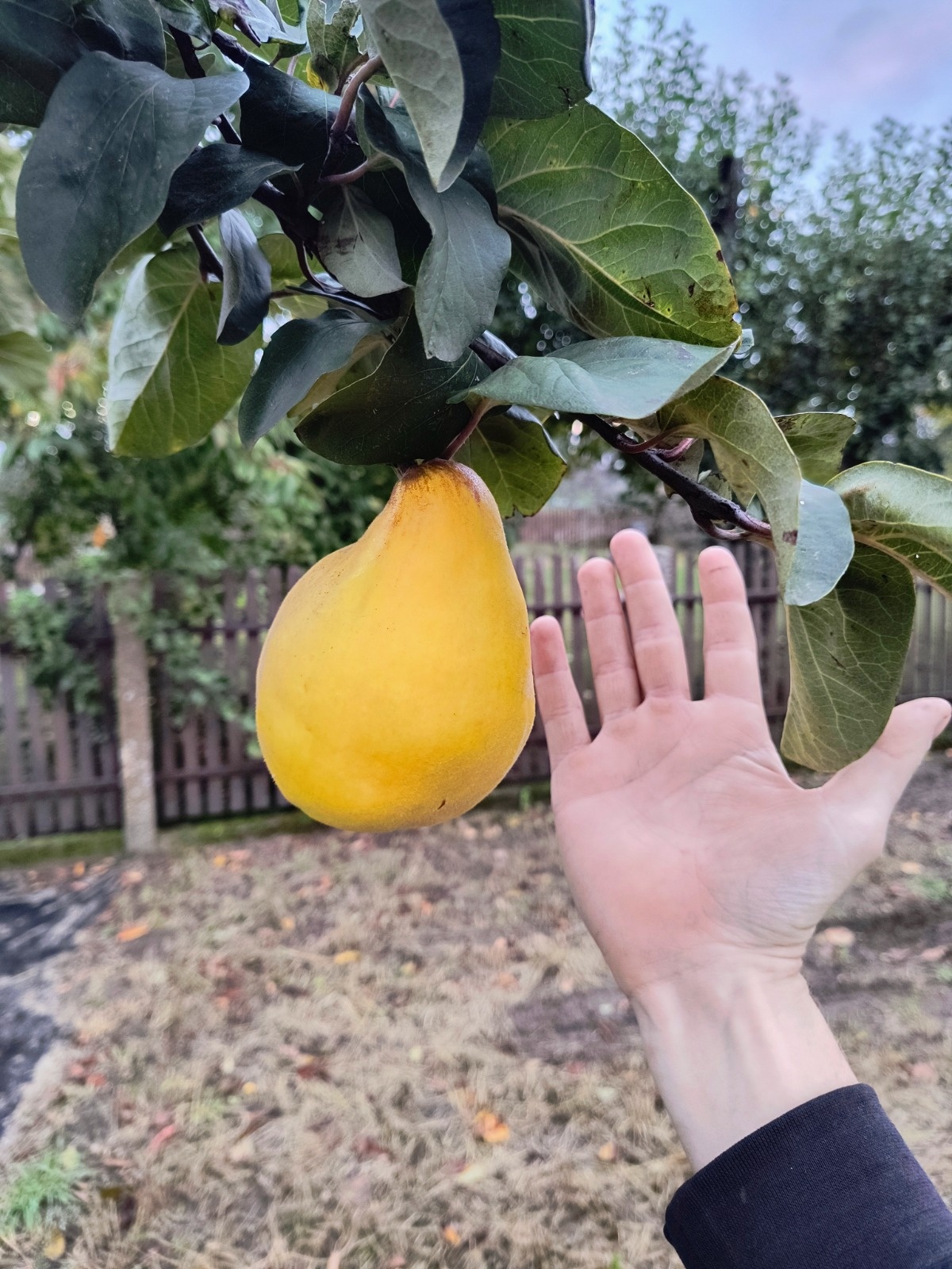 2eaf7b73-2449-47c8-9c0f-966e2ba623e8