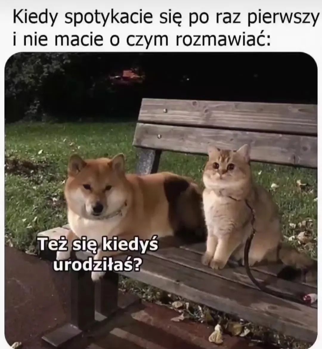 bd268a65-bf9a-40db-93b3-ebaafdbda714