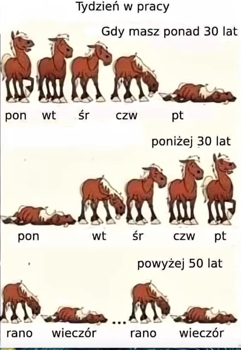 db1d0b5d-6ec4-4ad2-bc4a-28f853419cf7