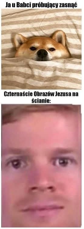 d3e99471-4f35-4853-88c6-9c0200f76442