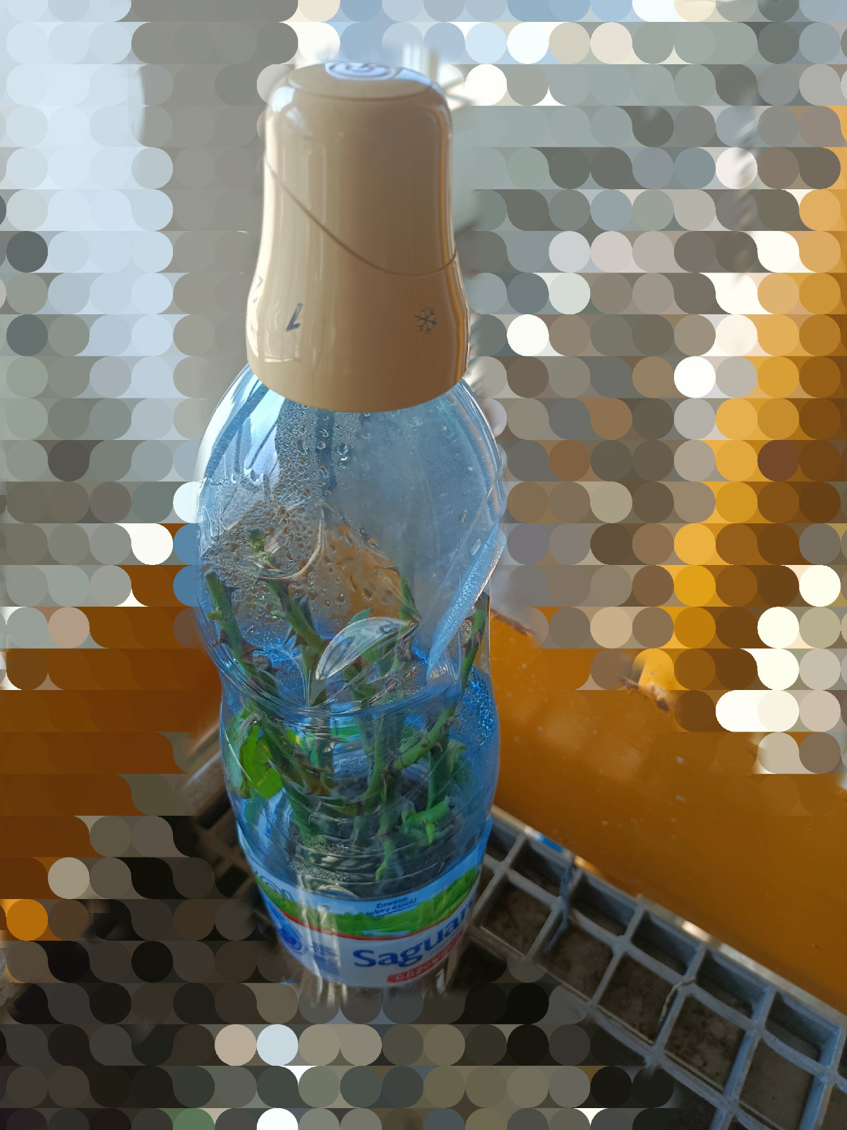 2f3de932-113b-46e4-9bf2-bcf5adb1016d