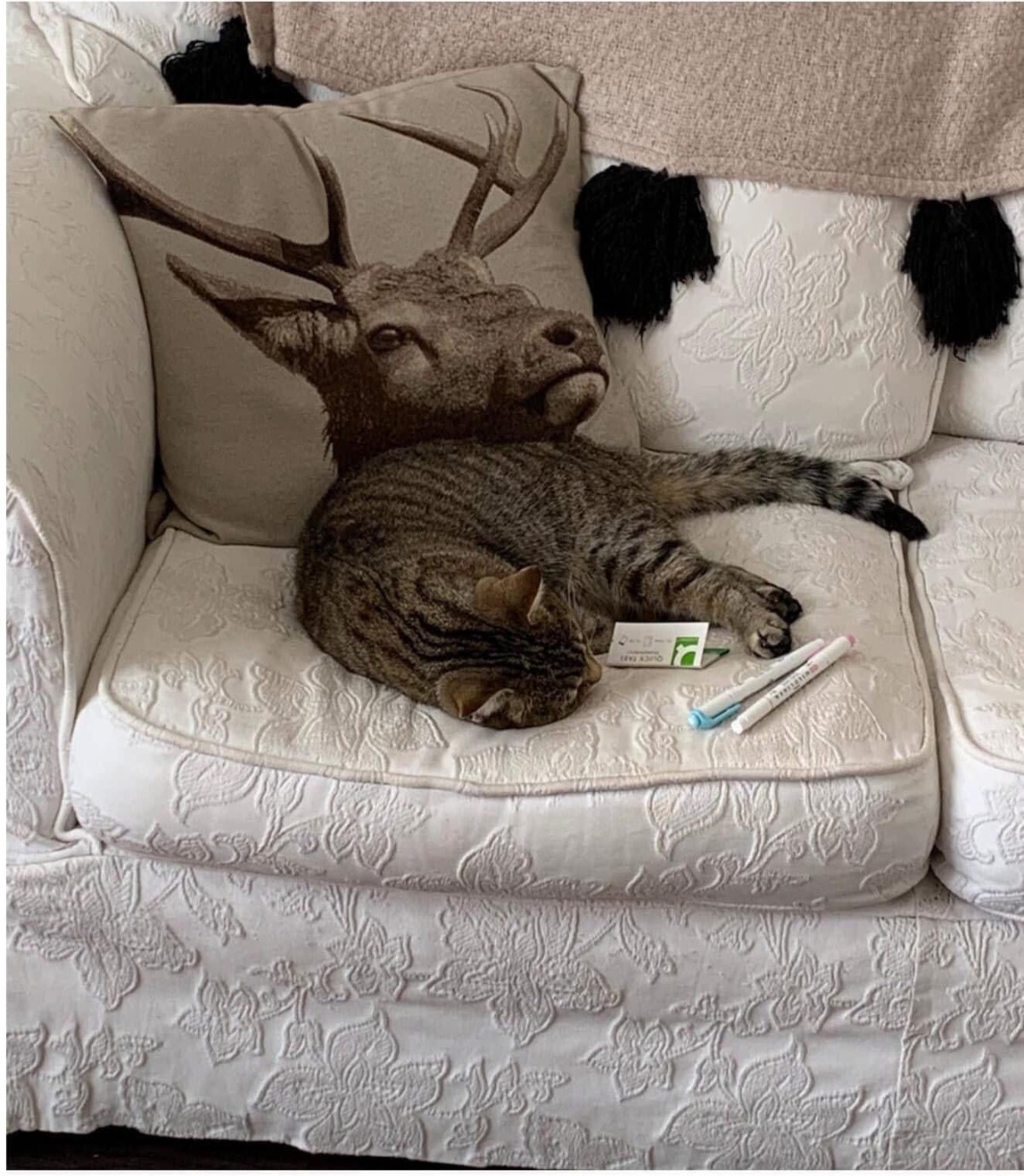 0be4e37d-1b5f-4e6f-a4a1-097f76c04a6d