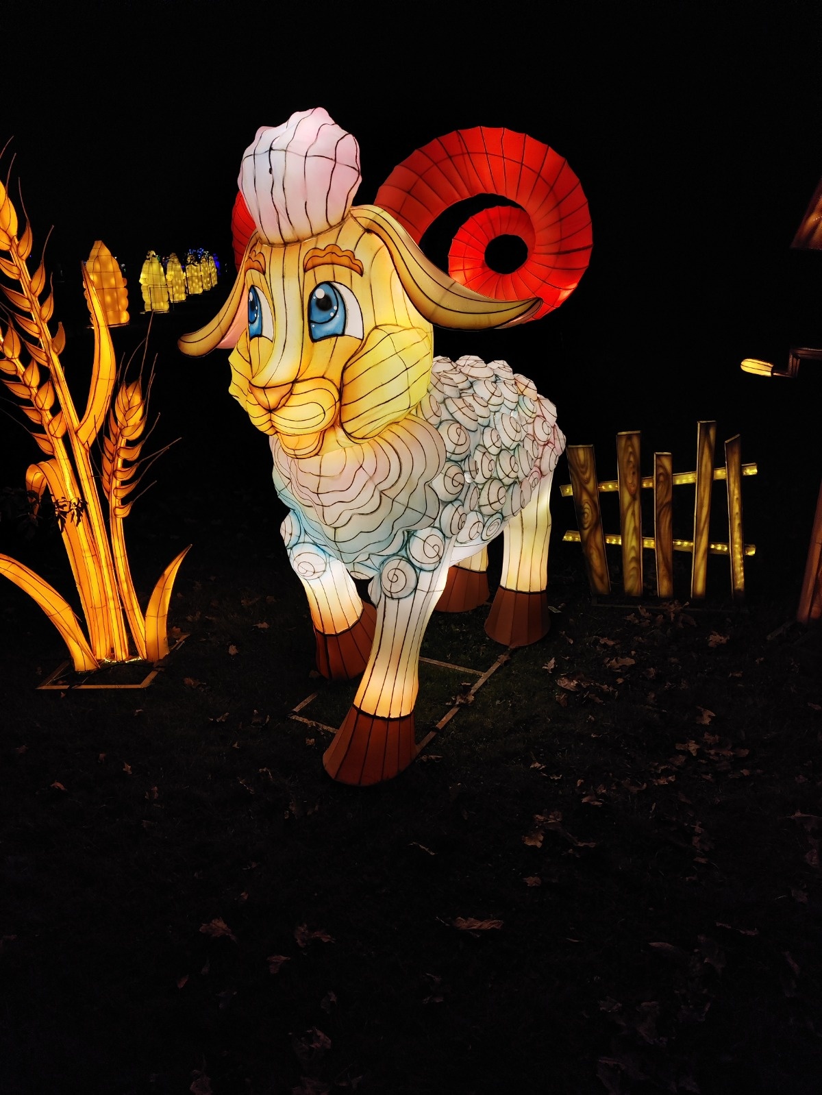 edc4f8e9-a757-428d-9ab4-dcc4e6c94cc9