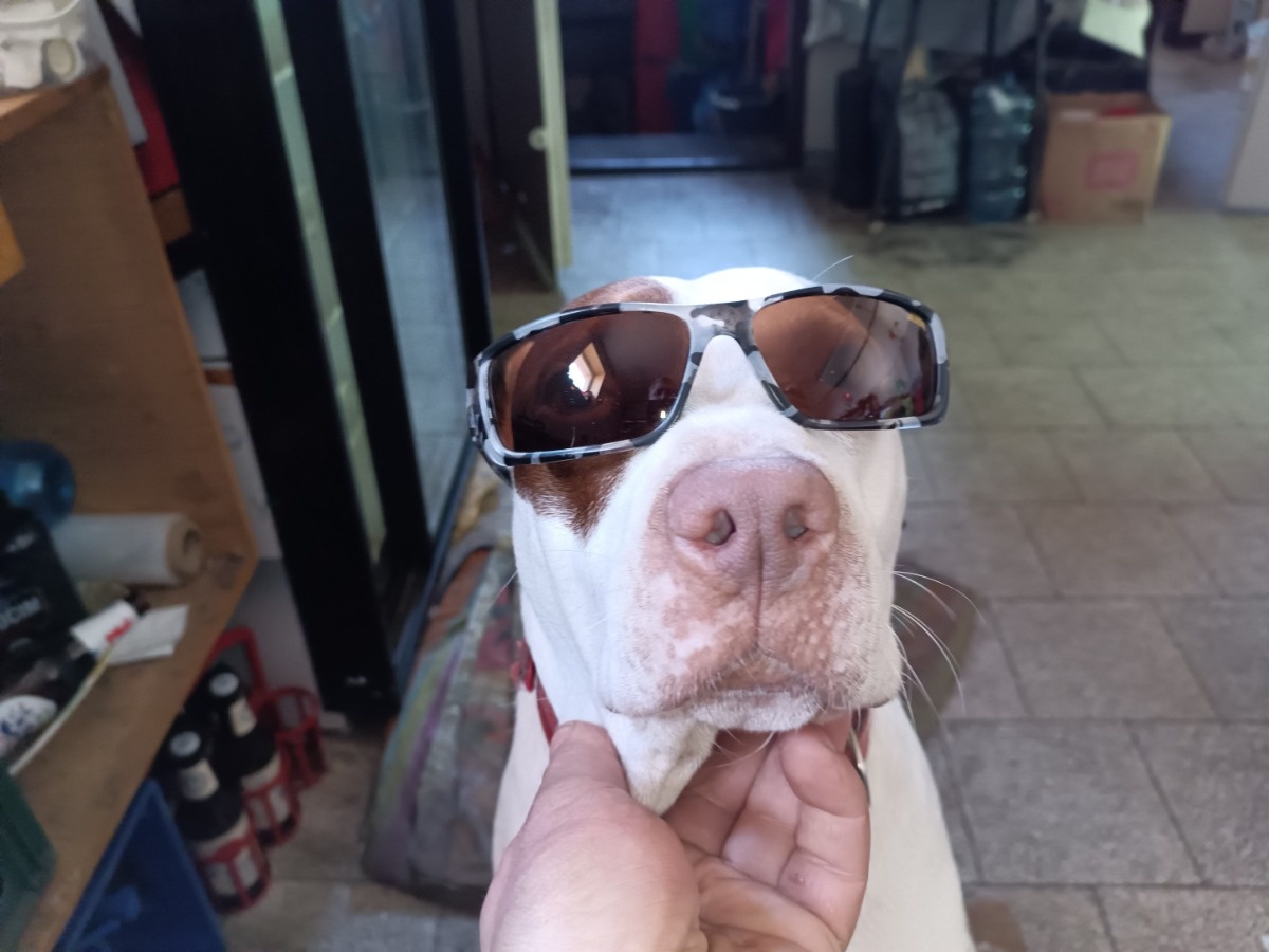 de7408b3-ee56-49ee-b63a-147f3eb910b3