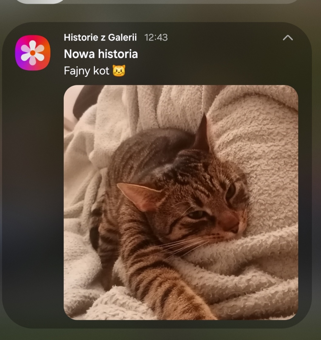 ea174d2c-f038-408e-a80a-aee1cf8fb464