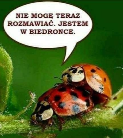 4e03e1a3-0864-42d7-9483-ab7662d1f43a