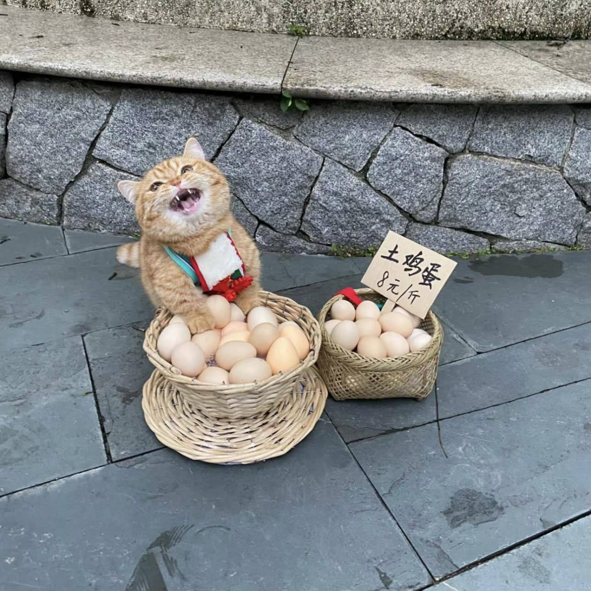 63f4d47b-5712-4928-8291-f5422ec3f8bc