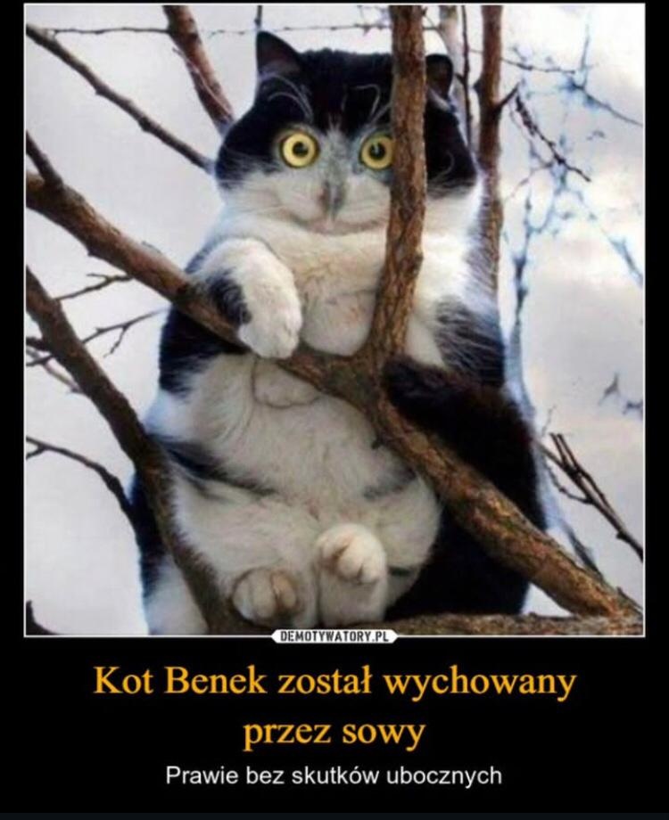 c03d9b25-0c71-4cec-8097-2ffc93185eac