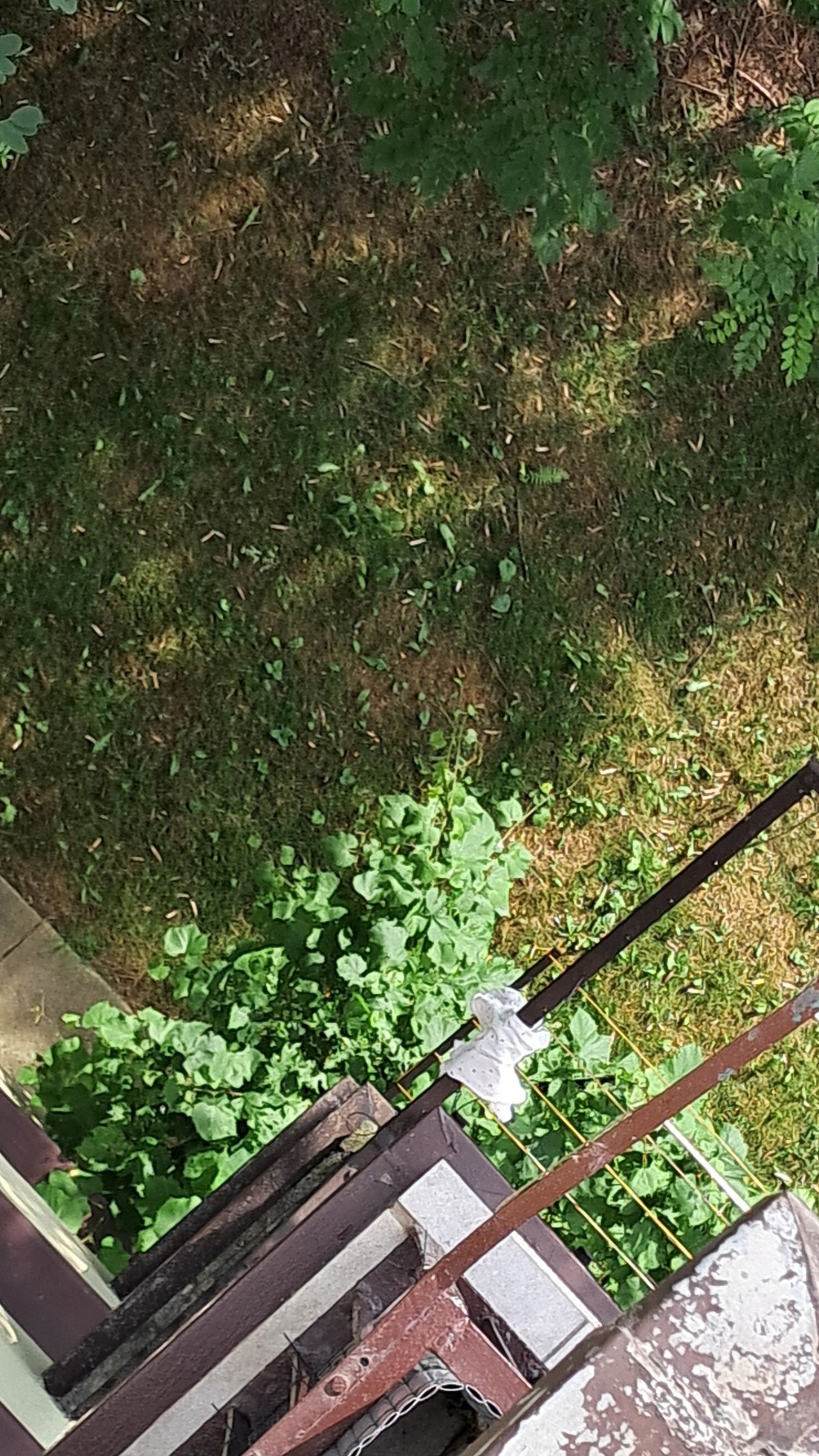 cb7d181c-f7d6-476d-bff1-3c378163c38d