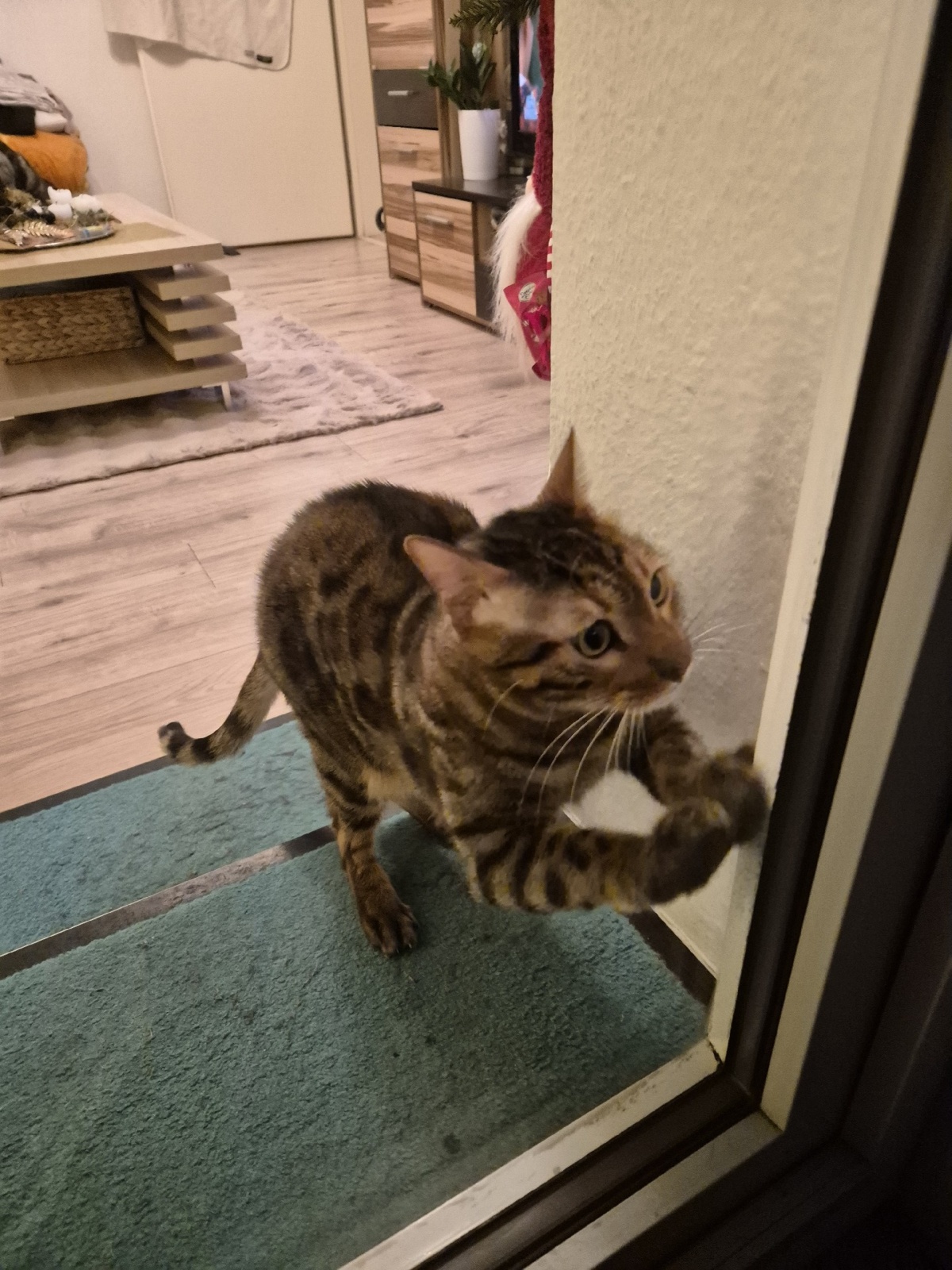 aab2e9aa-d969-4f19-ac2f-78090f8d4817