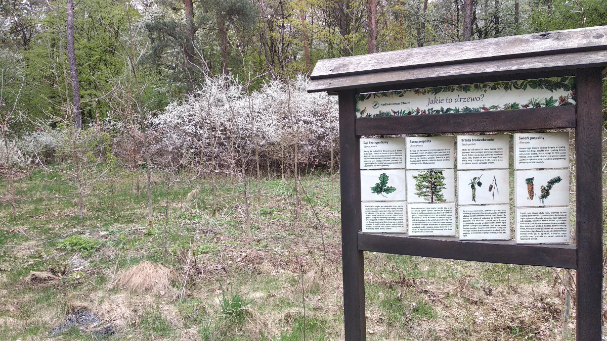 483a1bf4-5c7b-4854-8c6a-0d8b8a755761