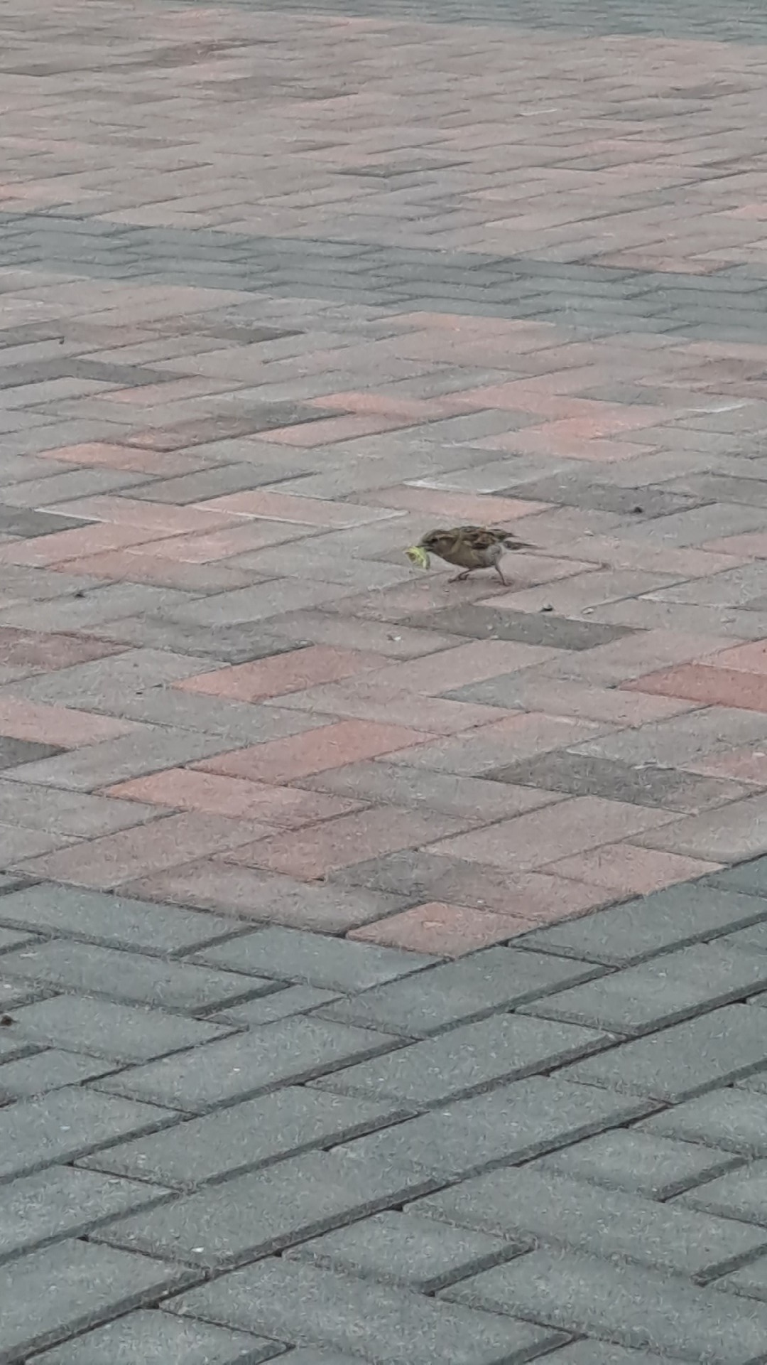 7a87feb3-d5ae-463f-9de8-23641c291477