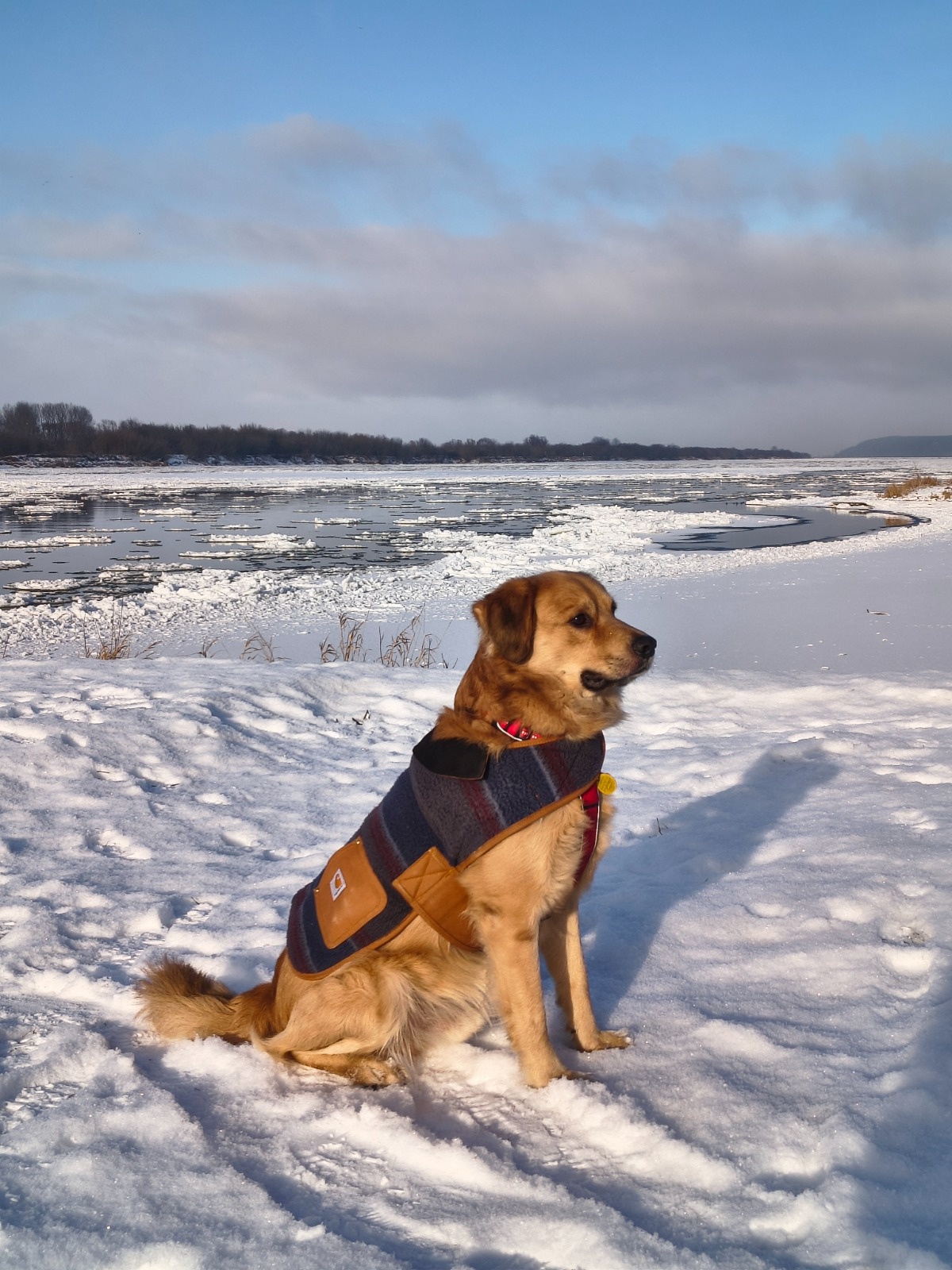 ab34bbf8-cd9f-4c50-abaa-4700361f804b