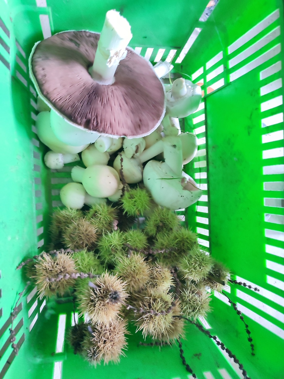 9776f9f3-30f9-48e0-b64f-7e7a8c26e9ac