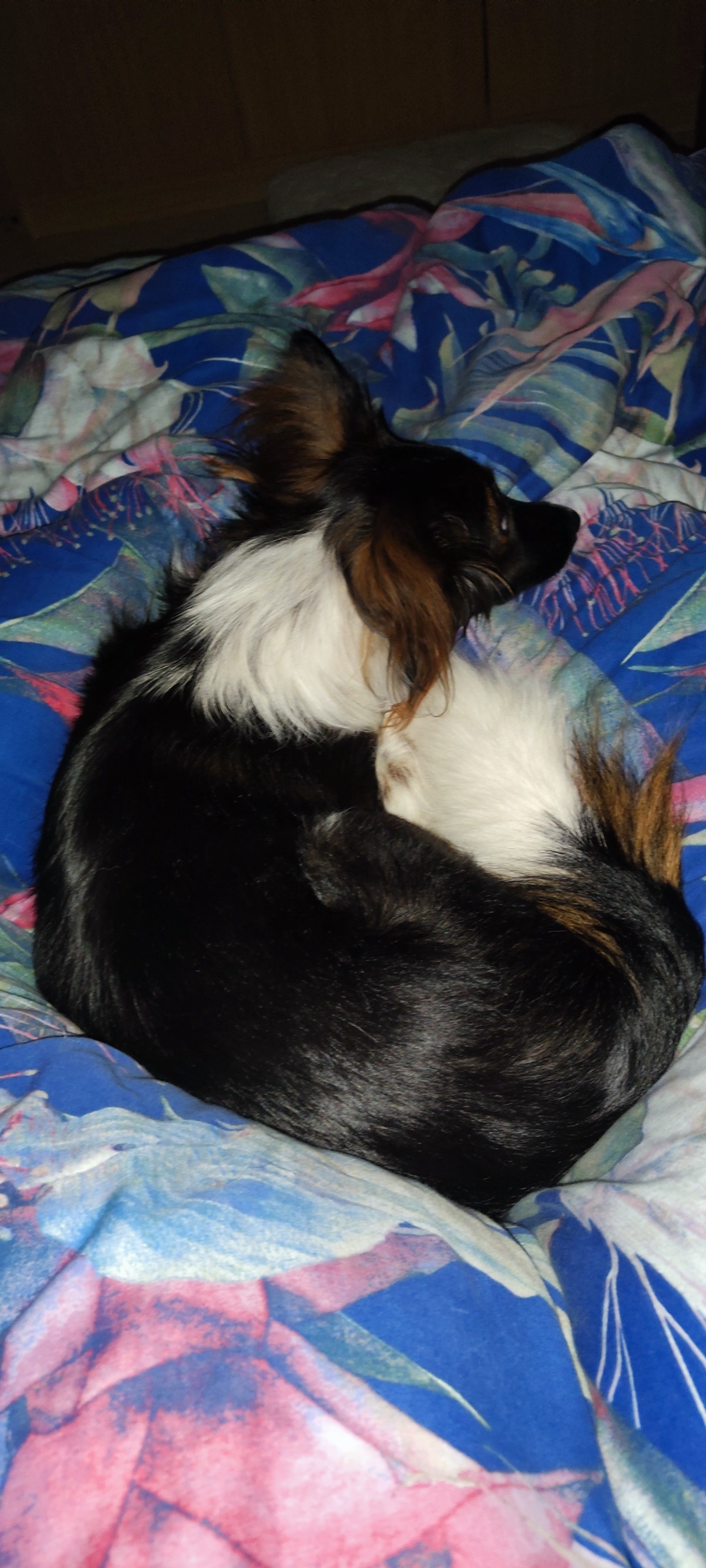 1a12aeb9-4637-4bdb-9969-227347fe436f