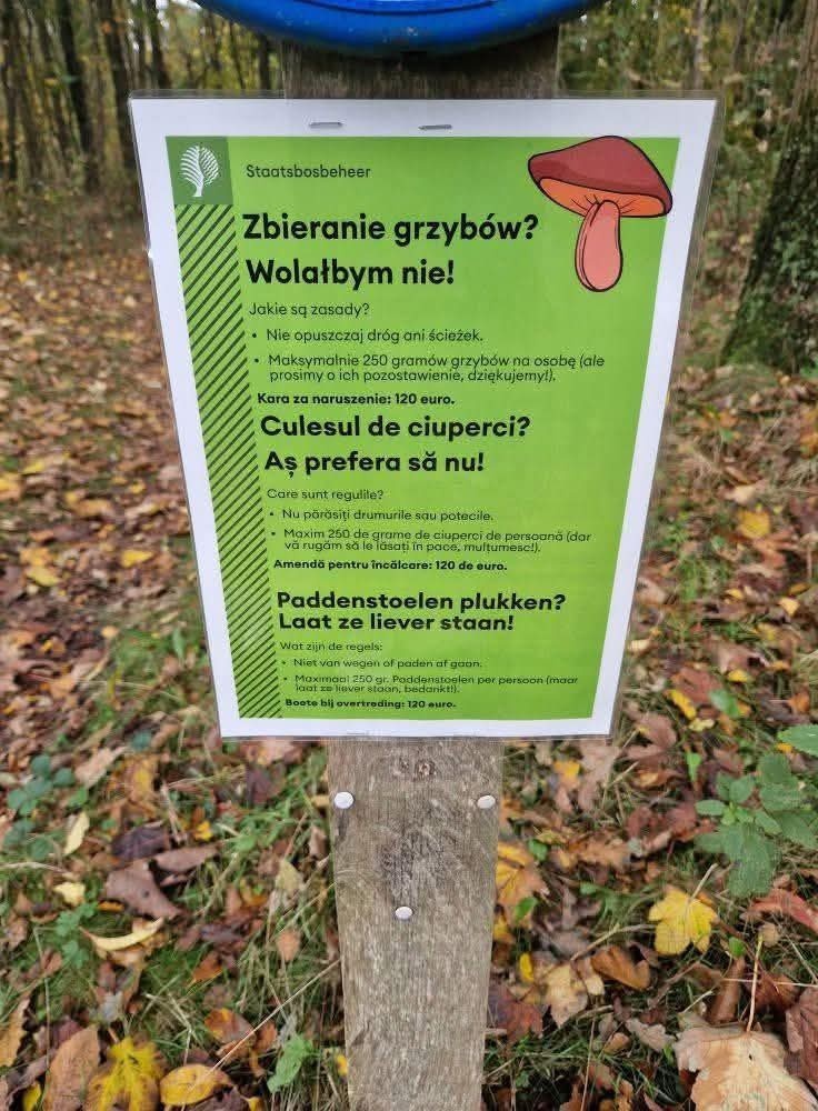 44d76bc3-927d-422a-86f2-1e42a2bfdd11