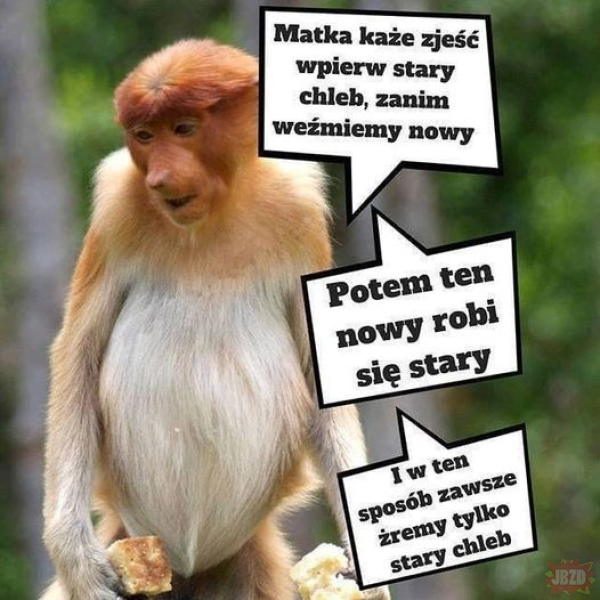 50405e19-1a93-49e7-a69f-8249a48c1733