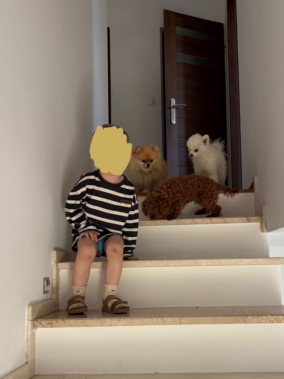 ace23023-4a48-42fb-aa5f-c85e20ab2e6d