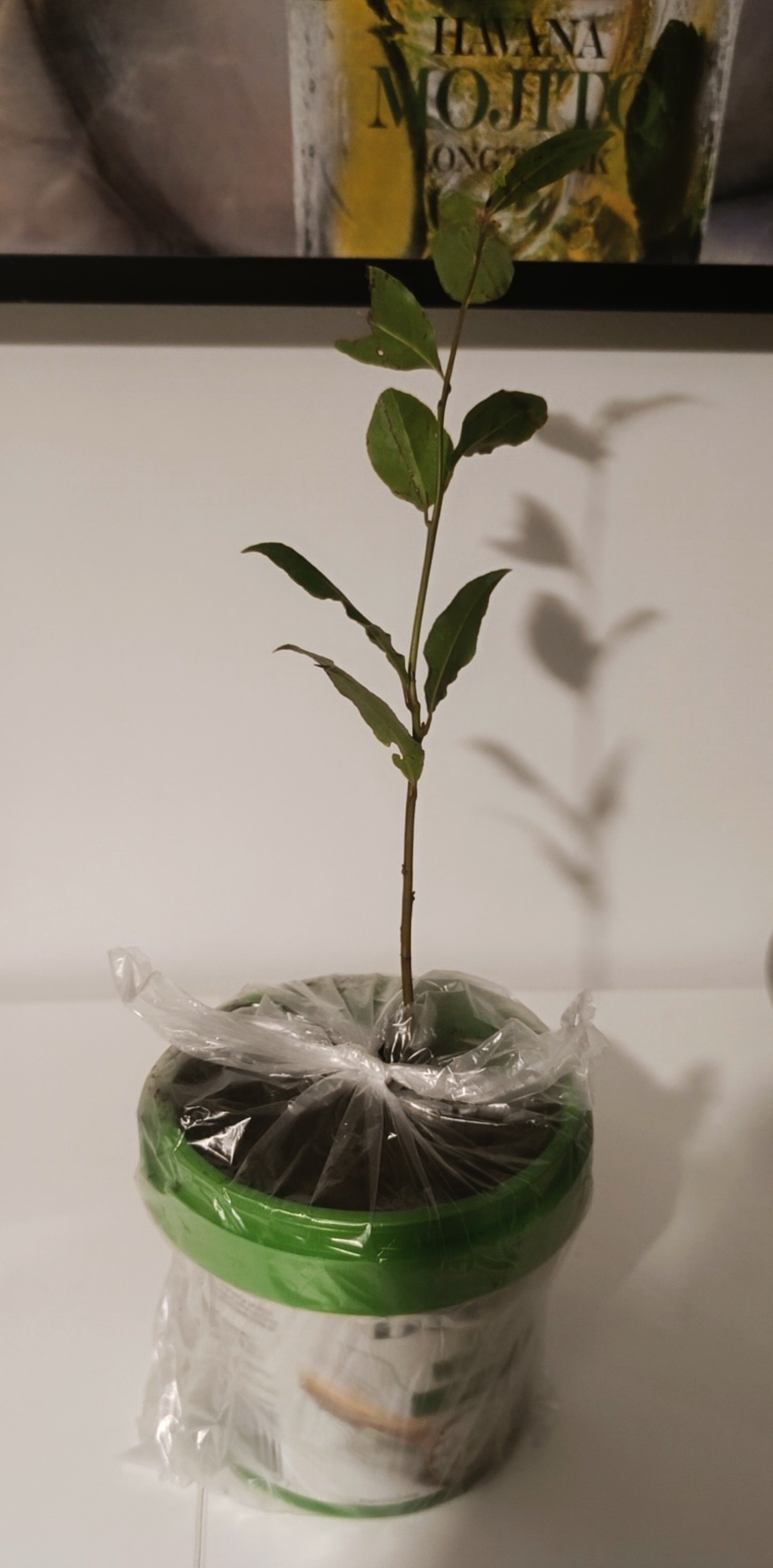 4158c3bf-cb43-4e6d-8231-06d3aaf9ea7a