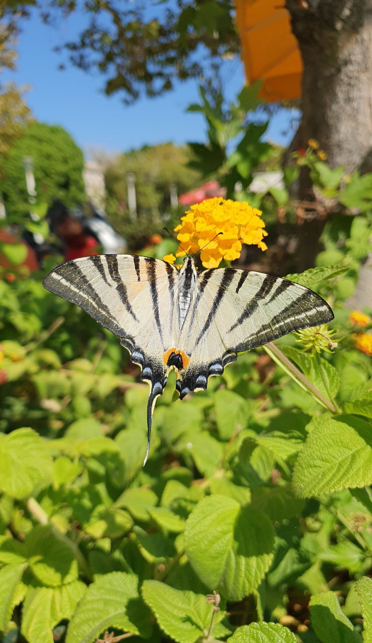 ea540d43-479d-485a-90b1-6c6e4f934c4d