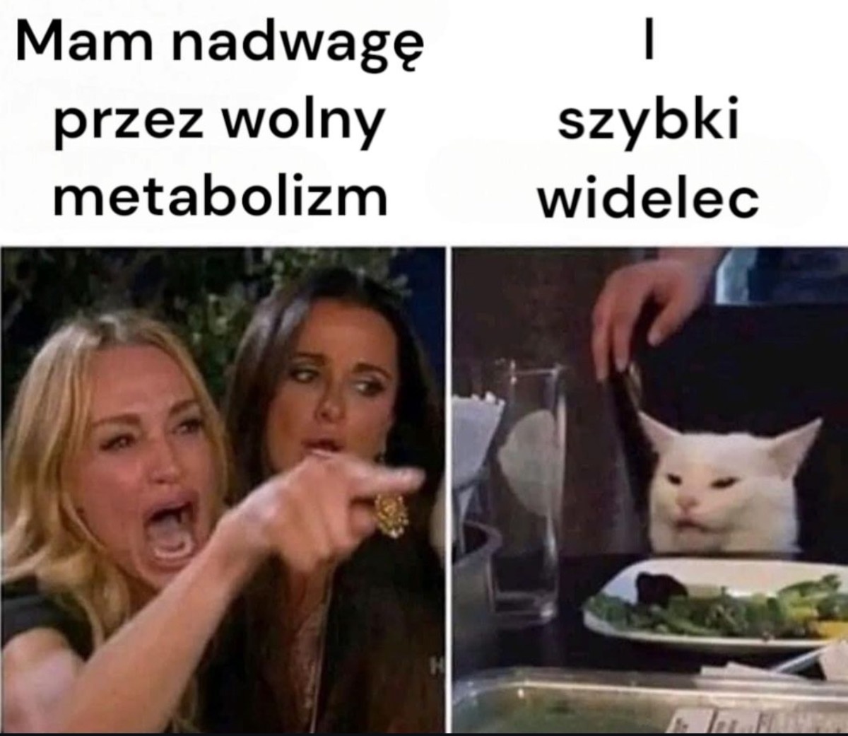 a277be10-1a5a-442e-ae53-900f5f8a1fab