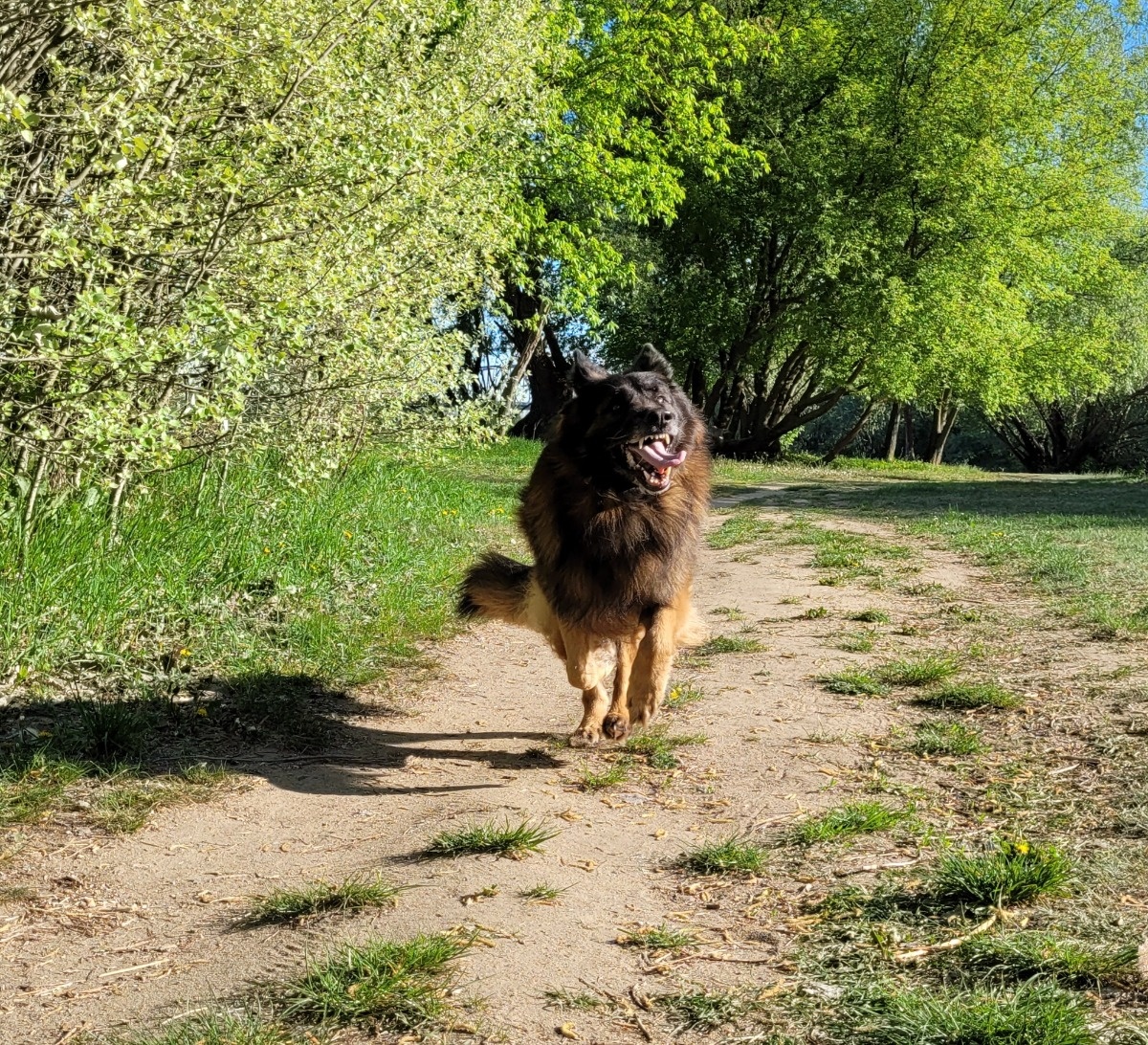 470ce1e3-ea5d-4546-9bbc-ce07886b26df