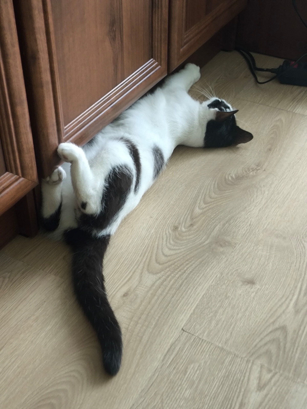 bf2e31c8-0448-453c-9d41-07676c6b0f5f