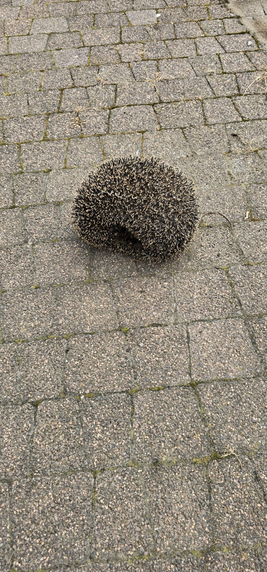 57862293-df16-45c8-af9f-240976c83406