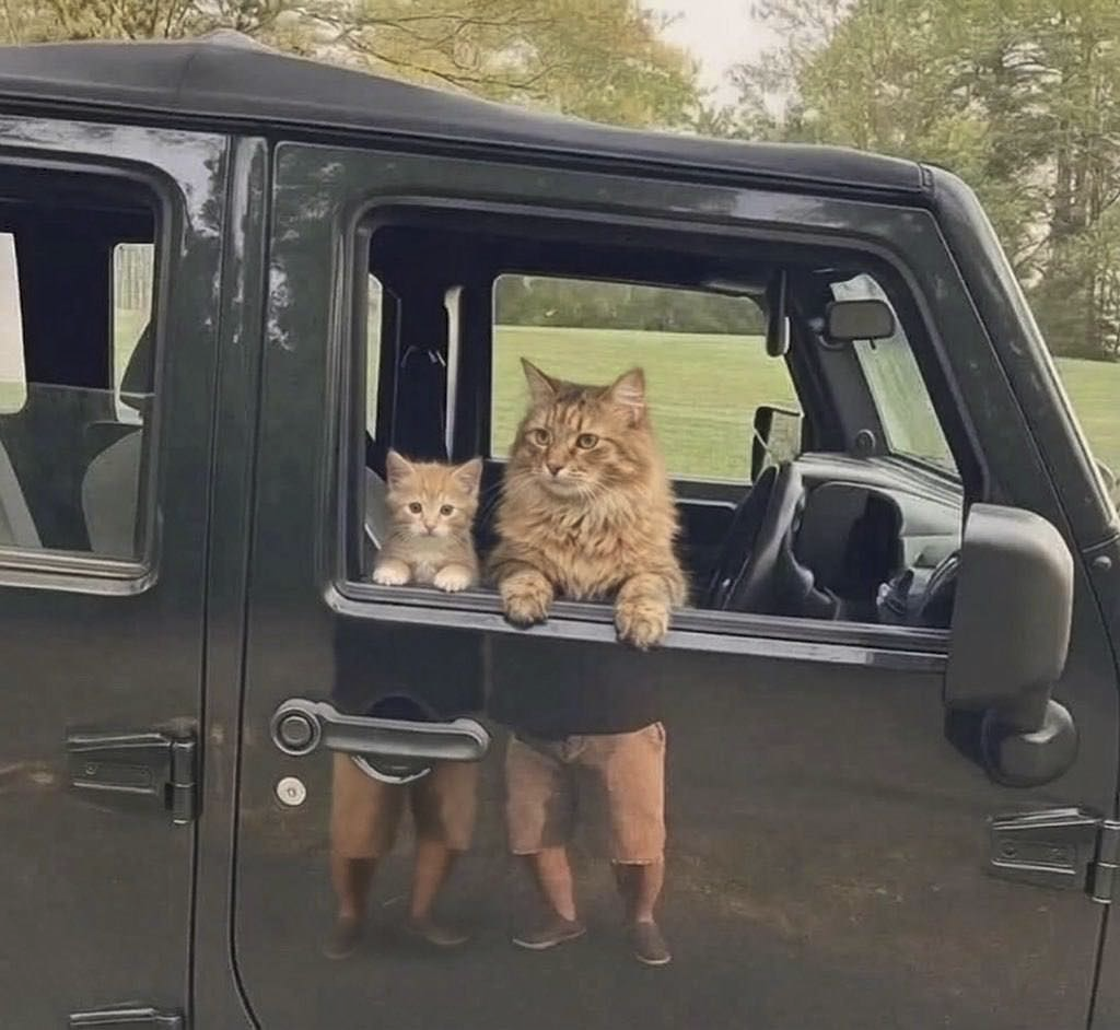 eb1c4c6a-8646-4c5d-8f7e-b0b4b541052e