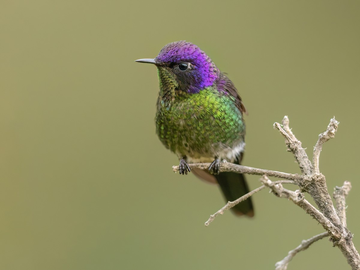 0764044d-d376-4812-b67f-58e1f3d5a652