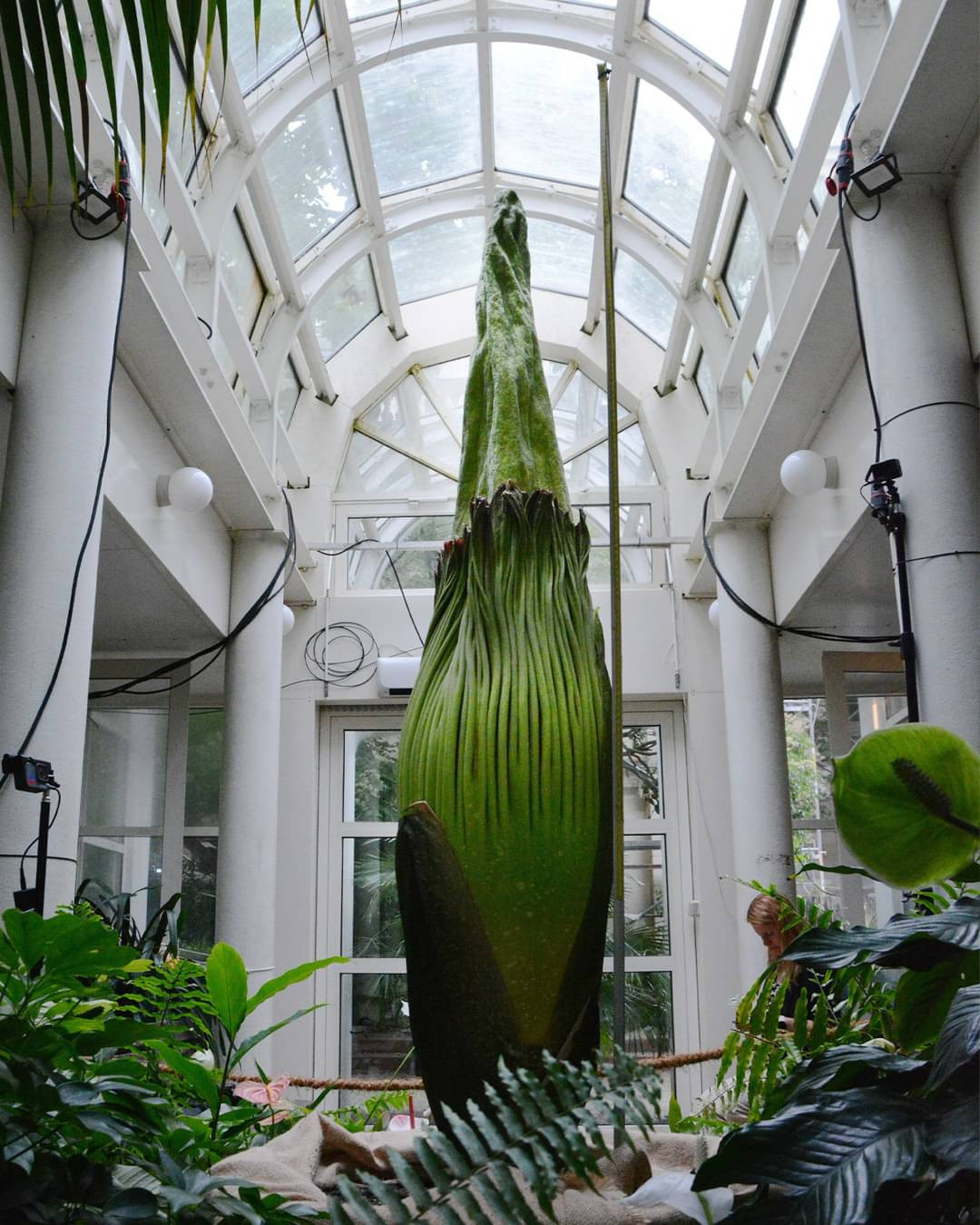 199dcd54-197b-433b-a783-26ff285048f1