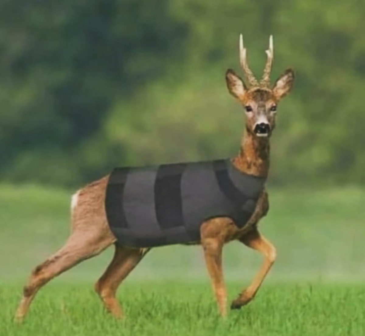 76c0b556-ee85-4cb5-ab3f-645a8d51ee55