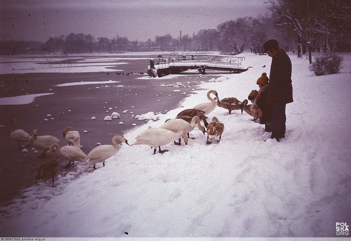 1325d26d-226c-44f1-aeb0-1f0e5642eb5e