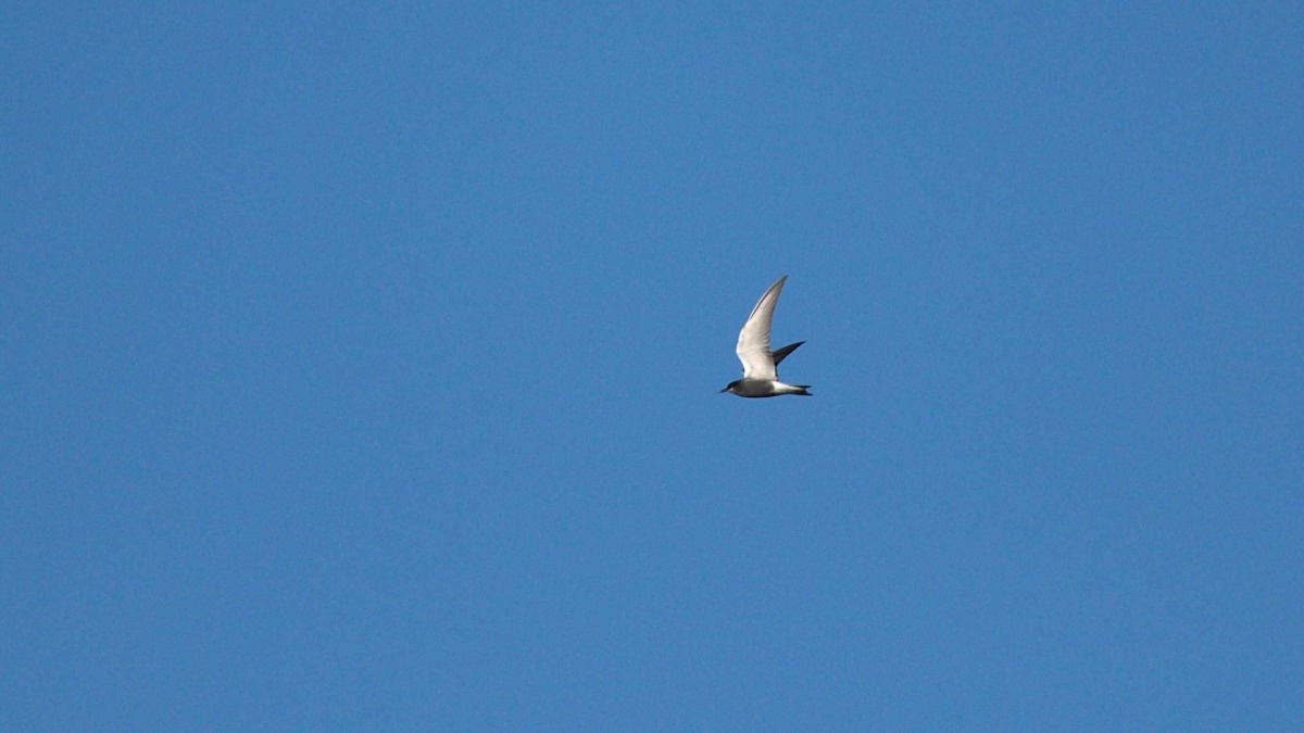 749b453d-fe6b-4f71-82d1-194e363f2e38