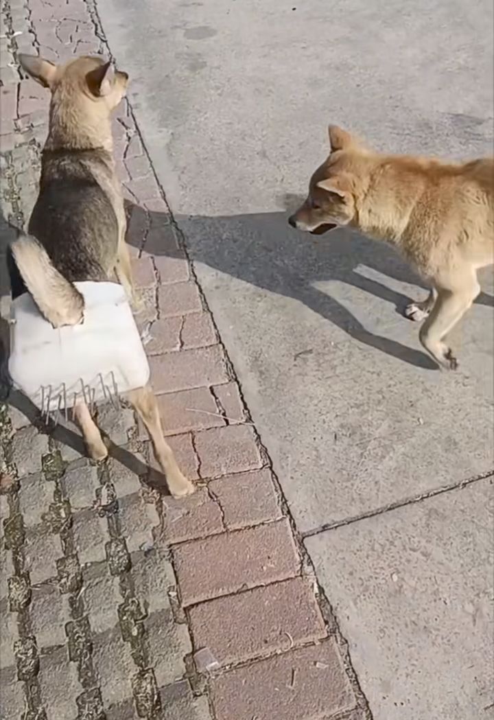 db94f361-fcb1-466d-a673-31c9890c7f09