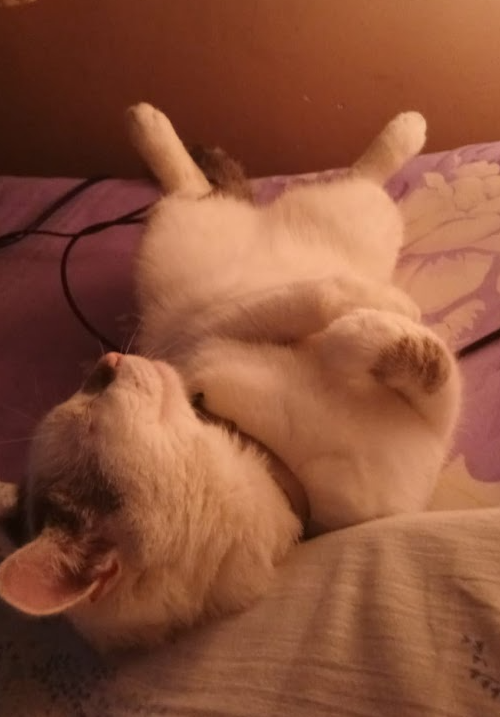 a43776d2-65c9-49b7-83c0-50be4579a548