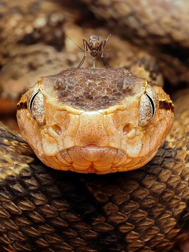 86af1bd5-9758-44f5-b59b-a87c8866434b