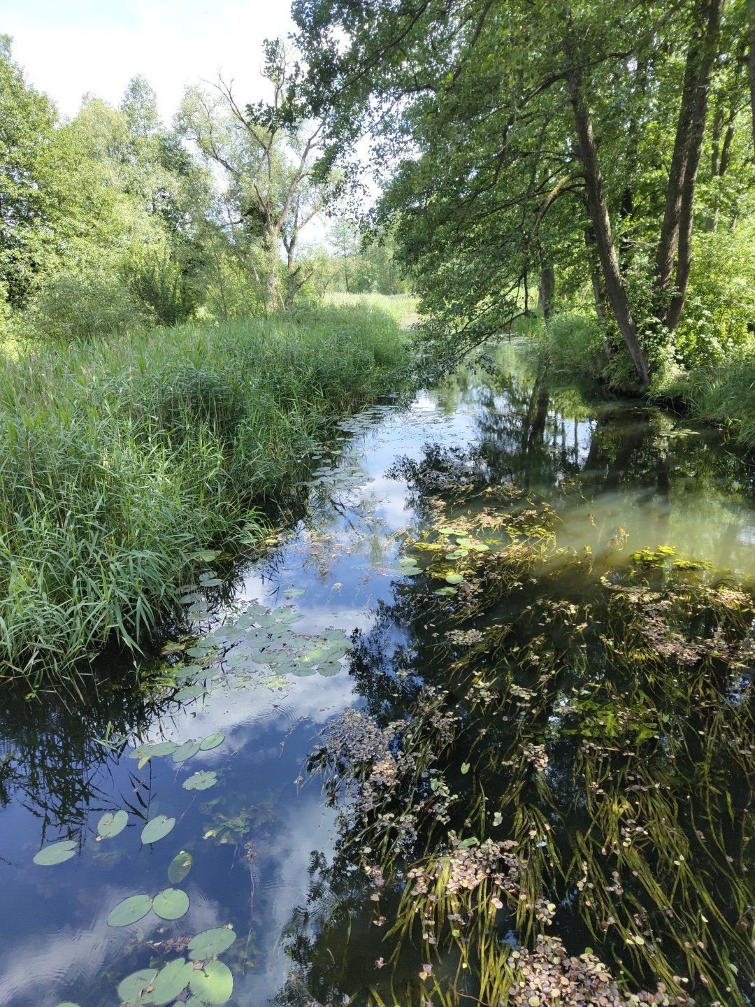 1324bd53-71e3-4ad6-ac78-ac59d3af1c01