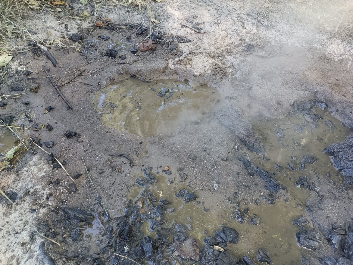 cd03122e-f8f2-44f8-bcd3-7105837f4551