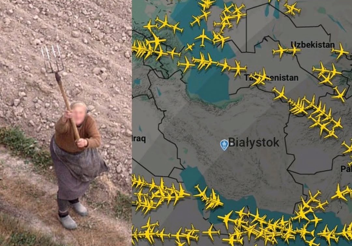 07fc8d5b-ad64-42a9-ac1e-c55893b1a3fb