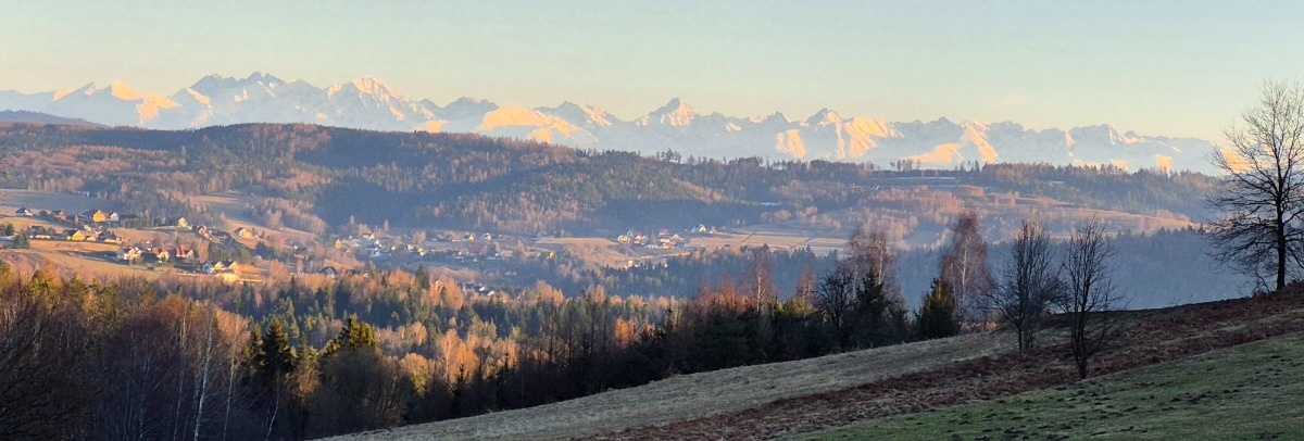 ed78eff6-d5e2-46ad-8ebc-23a812d8349e